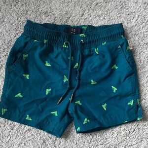 Teal and Green Kids Swim Shorts